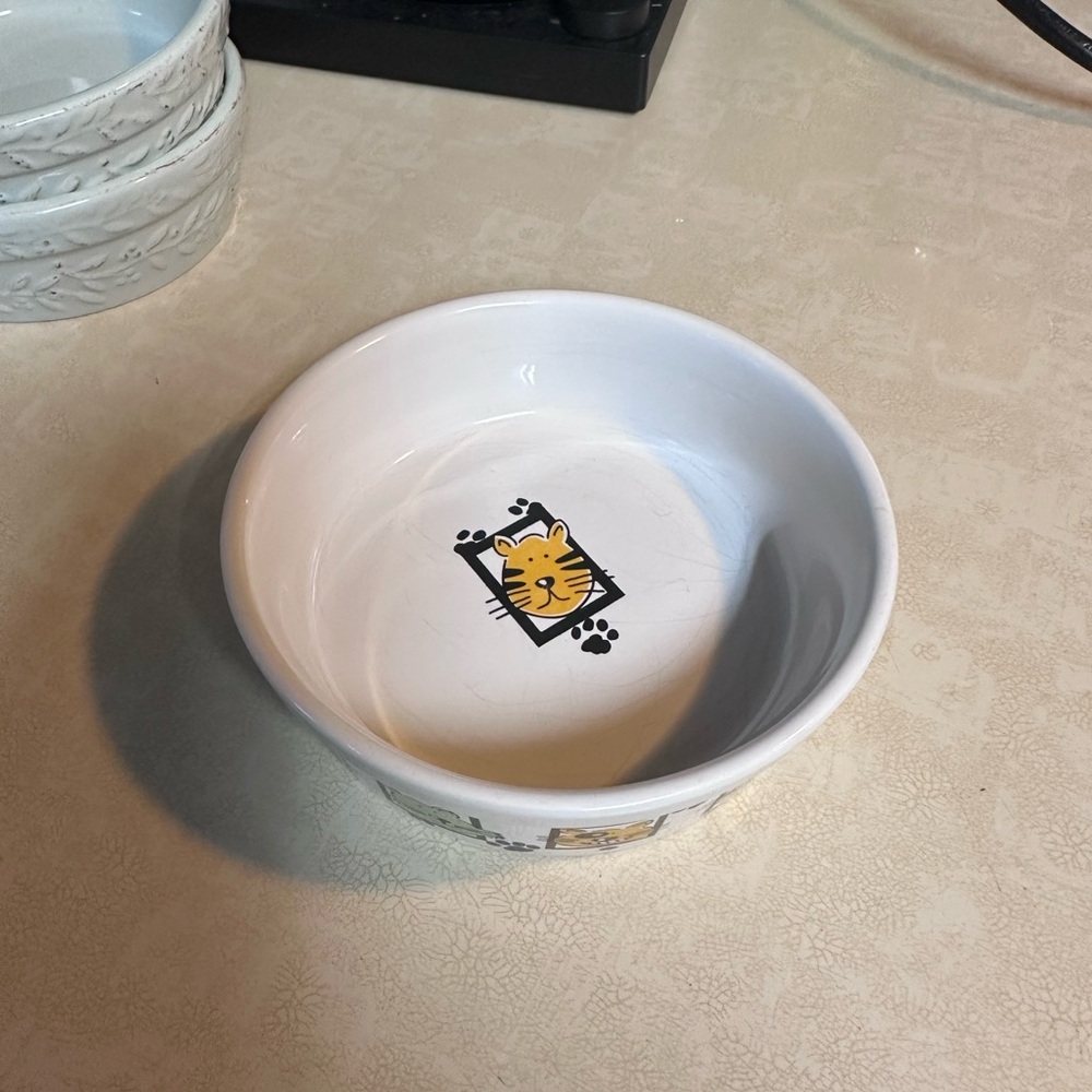 White Cat Bowl with Cute Design